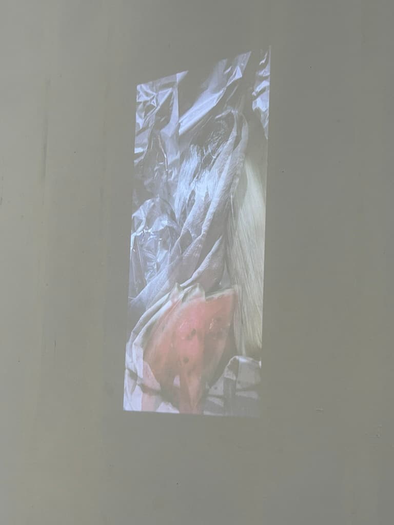 Lumbre — Ensayos sobre el bodegón y la Vanitas, imagen 4