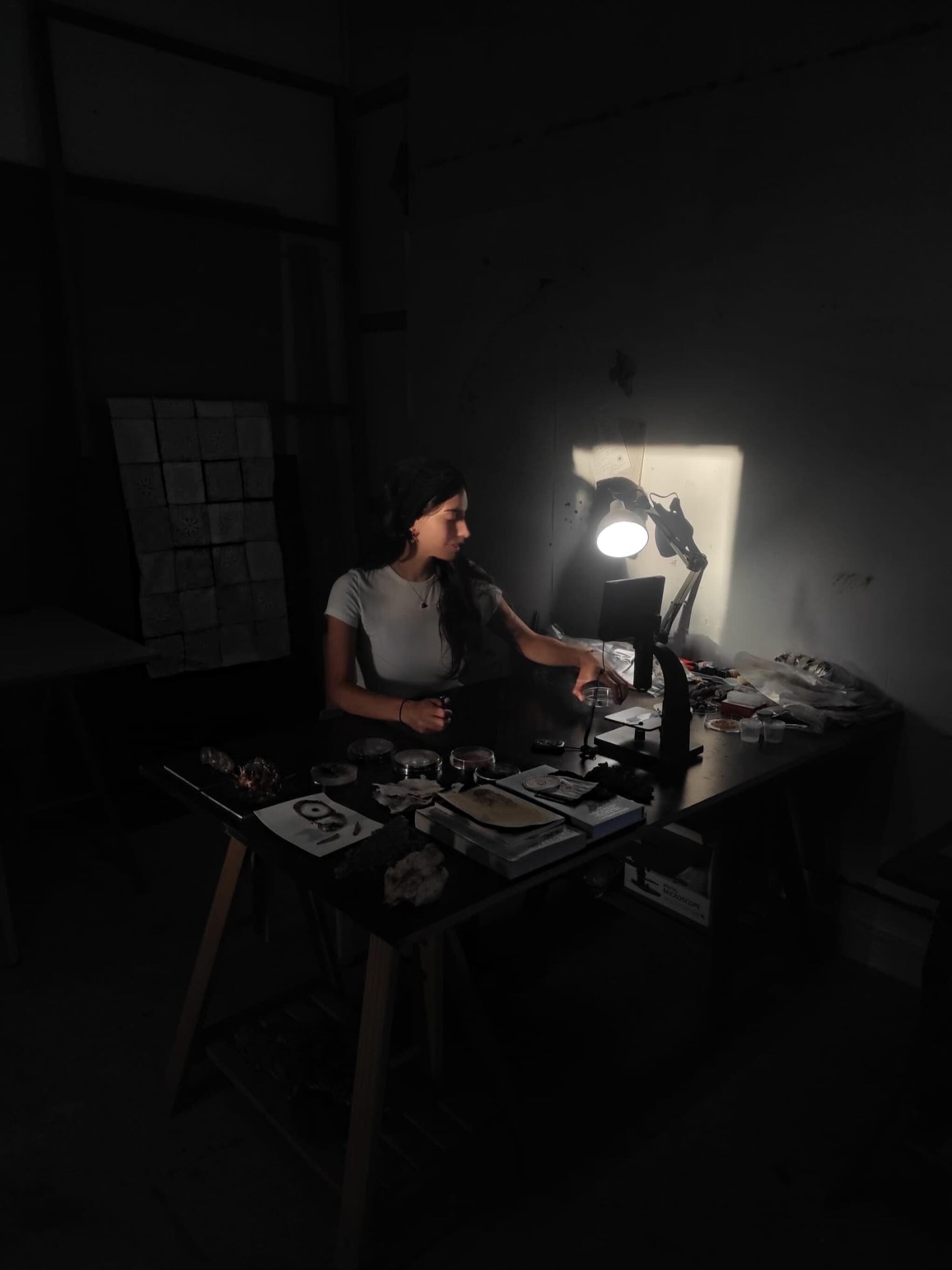 Obra e investigación con micelio de Alejandra Díaz-Guerra